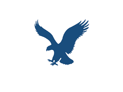Legal Eagle | IT-Kieswijzer
